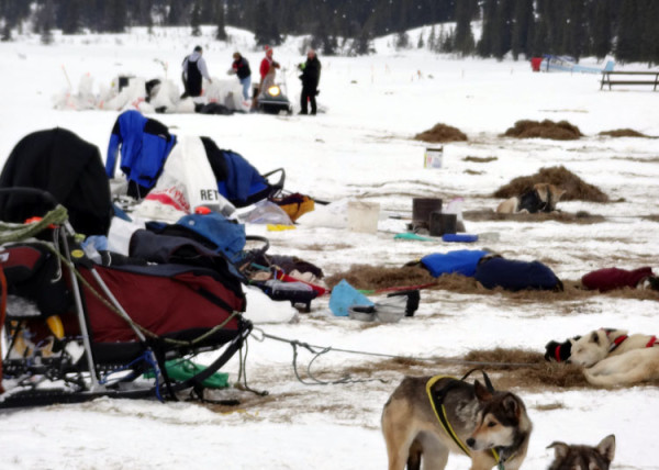 Fly with Trygg Air and follow the world-famous Iditarod race