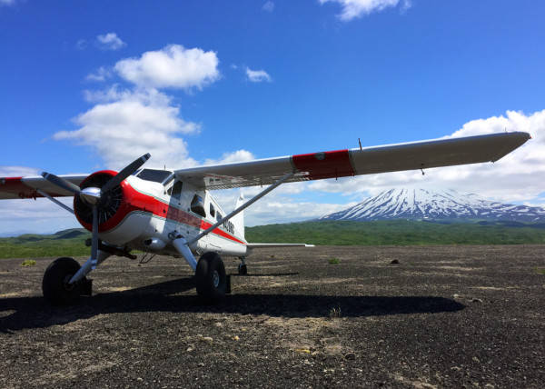 Escape to the backcountry in a DeHavilland Beaver with Trygg Air in Alaska